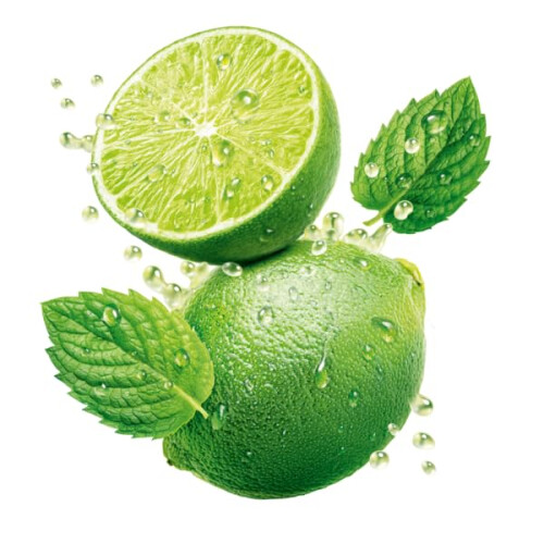 Robinsons Fruit Cordials Crushed Lime and Mint, 500 ml (Pack of 8) 2