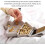 Christmas Tree Fruit Bowl ABS Plastic Tree Shaped Candy Tray Grey Kitchen Accessory 5