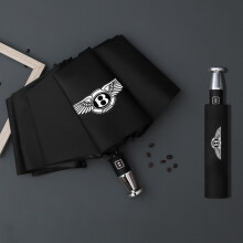 Automatic Folding Windproof Car Umbrella for Bentley Continental Flying Spur 2005–2013