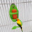 Cage Basket Parrot Feeder Plastic Hanging Food Container Bird-A 4
