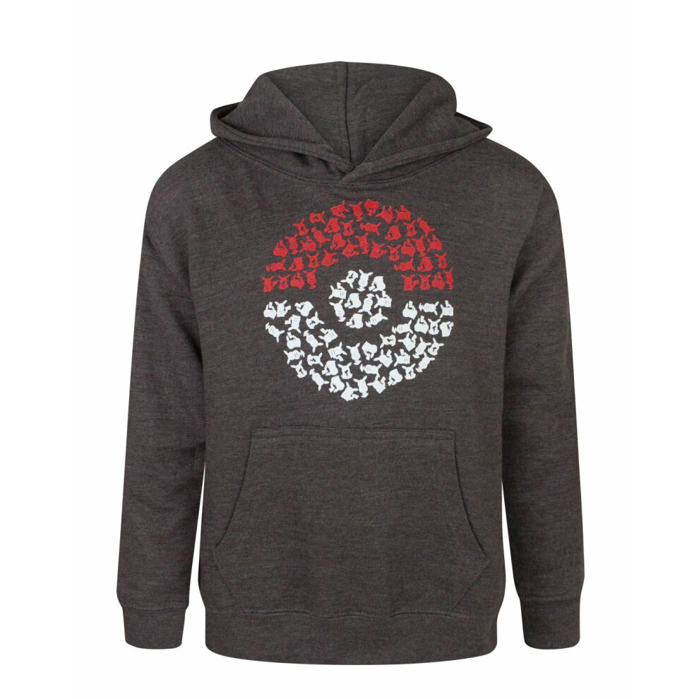 Pokémon Pokemon Hoodie (Boys Grey)
