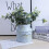Vintage Βάζο Shabby Chic, Petite Size Ρουστίκ Βάζο Γαλατιέρας για Αποξηραμένα ή Τεχνητά 6