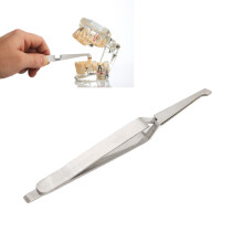 Dental Stainless Steel Orthodontic Tweezer Pliers for Bracket Placement Tool