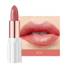 Rossetto opaco di lusso, formula idratante e nutriente, 12 colori audaci adatti al tuo stile, effetto a lunga durata, satinatura, bellezza