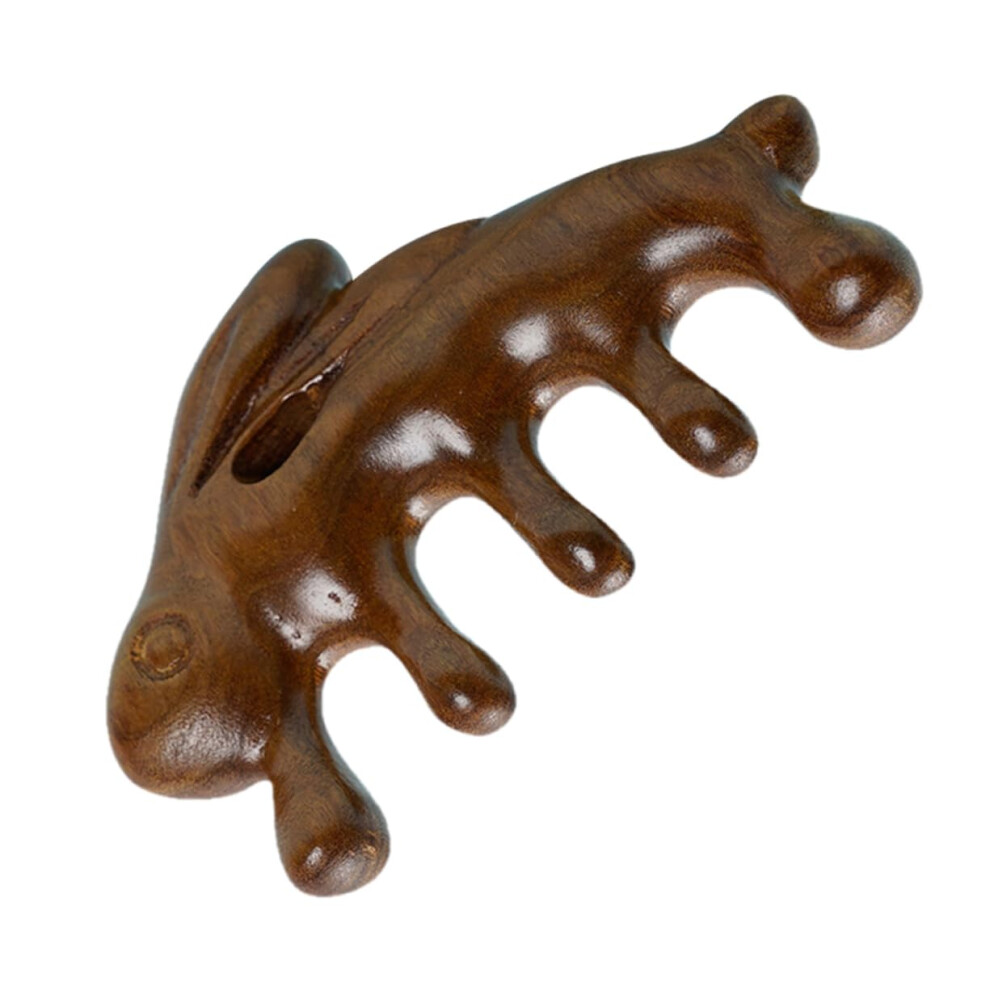 Wooden Scalp Massage Comb with Ergonomic Grip for Hair Care and Cat Grooming