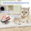 Dog Bed Pet Dog Self Heating Bed Thermal Bed Pad Medium Small 2