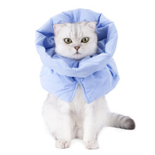 Support Your Pet Recovery Journey with Ease Using-light blue S