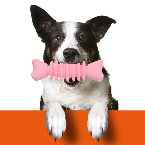 Pet Chew Toy Soft Teething Bone Dog Teeth Clean TPR Fishbones 1