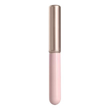 Reise-Lippenpinsel, Foundation-Pinsel, Make-up-Werkzeuge für Damen für präzises Auftragen von Kosmetikprodukten, kompakter Rundkopfpinsel mit