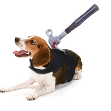 Pet Cosplay Supplies Funny Knife Bloodstains Costume Cat-M 3