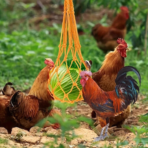 Chicken Vegetable String Bags Hanging Feeding Net Bag-Black 2