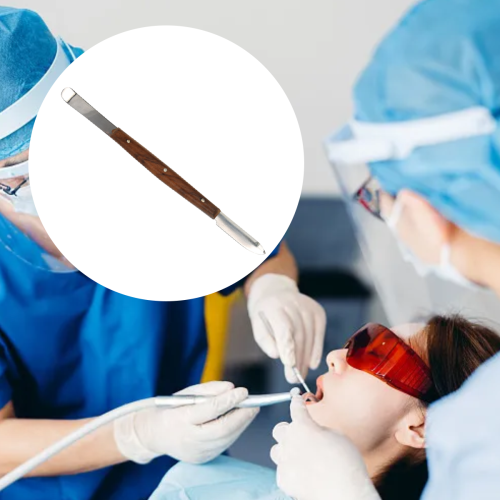 Πλήρες κιτ γλυπτικής από ανοξείδωτο ατσάλι για καλλιτέχνες και δημιουργούς, 1