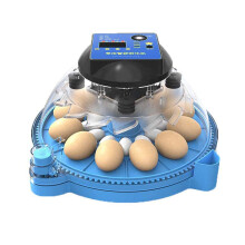 Egg Incubators Round Hatcher With Automatic Temperature Control And Digital Display For Duck Goose Pigeon Quail Eggs