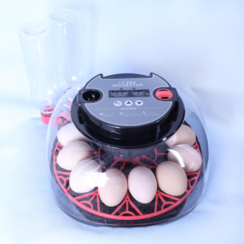 12 Eggs Incubator With Humidity Display And Candler, Automatic Egg Turner, For Hatching Chickens 2