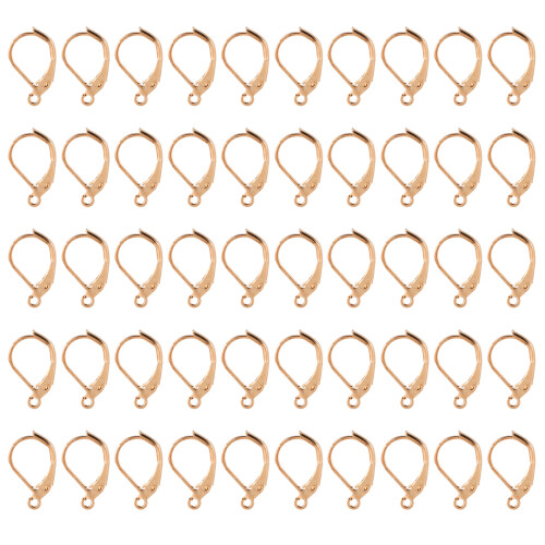 50 pièces, fermoirs à levier français, taille standard, couleur durable 1