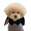 Knit Rabbit Ears Shape Hat for Cat Christmas-Black S 1