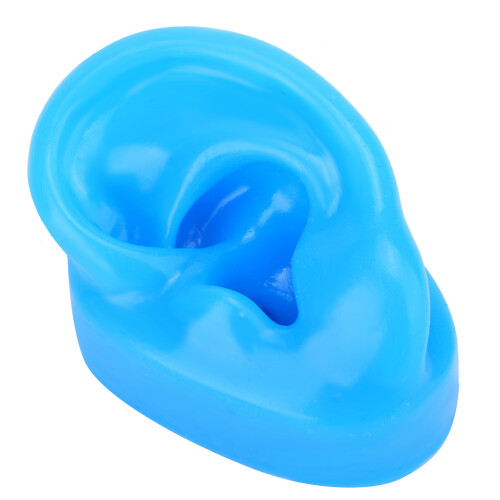 Realistic Texture Human Ear Model Soft Silicone Simulation Display Teaching Demonstration Science And Education Model Real Skin Feel Teaching Tools 2
