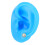 Realistic Texture Human Ear Model Soft Silicone Simulation Display Teaching Demonstration Science And Education Model Real Skin Feel Teaching Tools 6