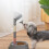 Dog Standing Water Dispenser Height Adjustable Large-Pink 5