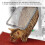 Pet Door with Multiple Lock Modes, Easy Install, 25x5.2x27.6cm 3
