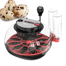Automatic Egg Incubator Chicken Egg Incubator Water Filling Temperature Sensor MultiFunction LED Easy Incubation