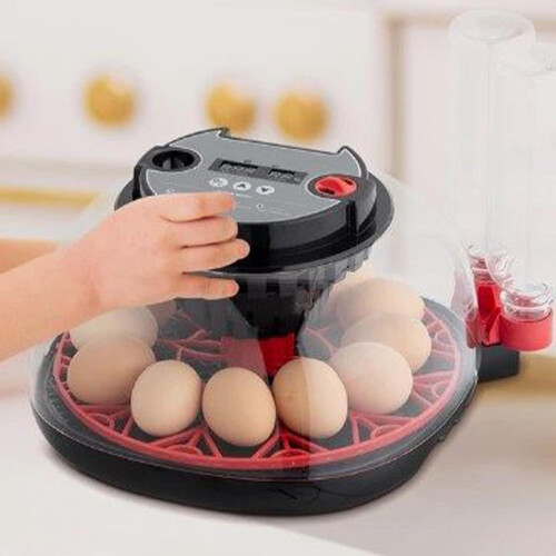 Automatic Egg Incubator Chicken Egg Incubator Water Filling Temperature Sensor MultiFunction LED Easy Incubation 2