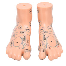Prodige de la réflexologie : Modèle d'acupression plantaire, outils pédagogiques, matériel environnemental pour la pratique de l'acupuncture