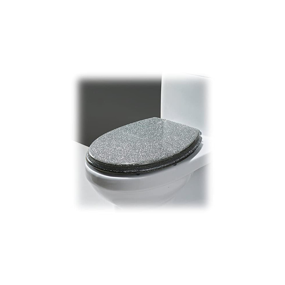 Oval Soft Close Toilet Seat With Quick Release Resin Silver Glitter Finish For Bathroom 9455672603133