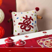Pillow 45x45cm One Piece Wine Red Crystal Velvet Embroidery Cushion Small Sweet Potato Style