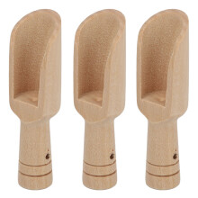 Set di 3 cucchiai piccoli per sale da bagno con manico rotondo, cucchiaio per spezie e zucchero, Schima superba