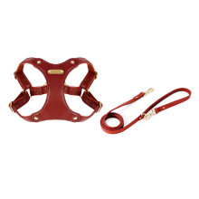 Harnais de gilet pour chien avec laisse, sangle de poitrine-S2