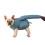 Sac de sèche-cheveux efficace pour animaux de compagnie,-S 2