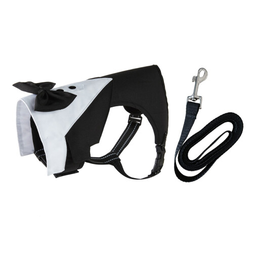 Costume pour animaux de compagnie à la mode pour petits et-L