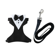 Costume d'Halloween pour chien avec laisse, Costume de fête-S