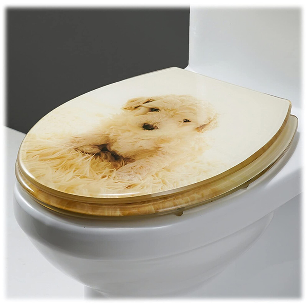 Toilet Seat Quick Release Heavyduty Softclose Lid, Oval Shape, Environmentally Friendly Resin, Adjustable Hinges, Multicolor 9347817842586