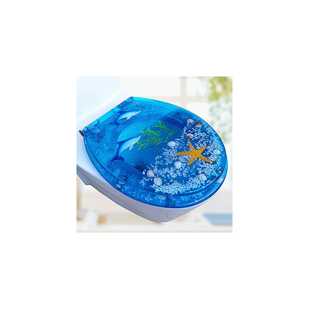 Soft Close Toilet Seat With Quick Release, Ovalshaped Lid, Silver Steel Hinges, Standard Size 9187378606049
