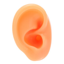 Modèle d'oreille humaine professionnel, en silicone souple, pour une utilisation pédagogique lors de fêtes d'Halloween, en discothèque ou au