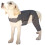 Comfortable Dog Sleeve Guards Against Licking Multiple Size-XXL 1