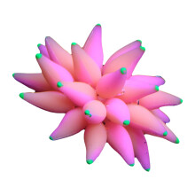 Aquarium Decors Plant Ornaments Colorful Water Plant-orange red