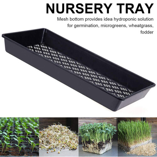 Δίσκοι εκκίνησης σπόρων Microgreen Δίσκοι φυτών με πλέγμα κάτω για Microgreens Αποδοτική 2