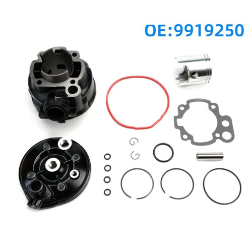 Cylinder Top Kit TOP 49mm PERFORMANCES KIT 9919250 for   50 MINARELLI AM6 GHISA 1