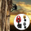 Oneway Pulley 12.5 kN Dynamic Pull Capability, Compact Red Design, Single Direction Rigging Pulley 4
