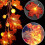 Thanksgiving LED Maple Leaf Light String - Rustic Autumn Decor 10 LEDs 3