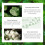 Μάσκα προσώπου κατά της γήρανσης για σύσφιξη δέρματος, μάσκα προσώπου χωρίς 4