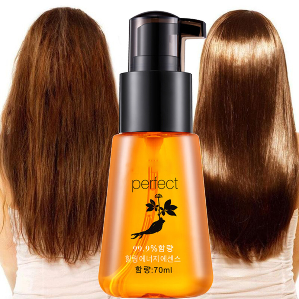 Luxury Hair Elixir Moroccan Argan Oil Based Hair Strengthening Treatment Smoothing Products With Rosemary Castor Oil Natural Essential Hair Oil For
