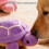 Hundespielzeug, Plüsch-Schildkröten, Puppe, quietschendes-Grün 4