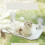 Cat Window Bed Suction Cup Hanging Hammock X Large Grey 2
