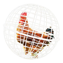 Cage sphérique en plastique avec assemblage facile pour la-Blanc