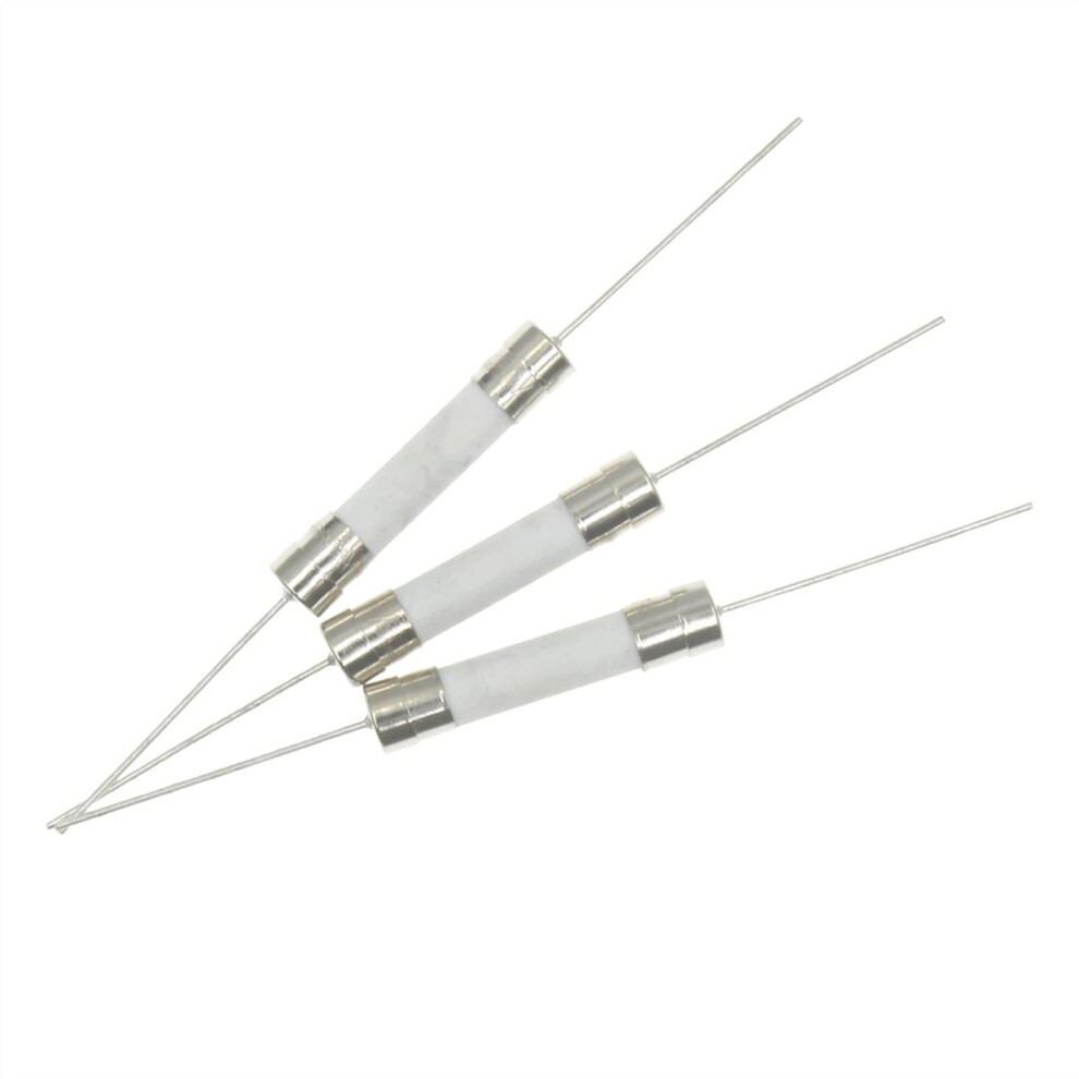 100Pcs 6X30mm Ceramic Tube Fuse Fast Slow Blow With Pin 250V 8A 10A 15A 20A 25A 30A 9187378619025