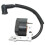 Ignition Coil Replacement for Weed Eater BV2000 BV2000LE V2000LE BV2125 B1750 Poulan Pro 1